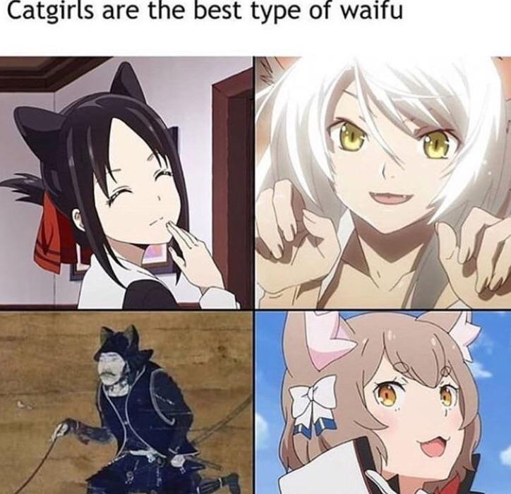 Those Ears are So Cute