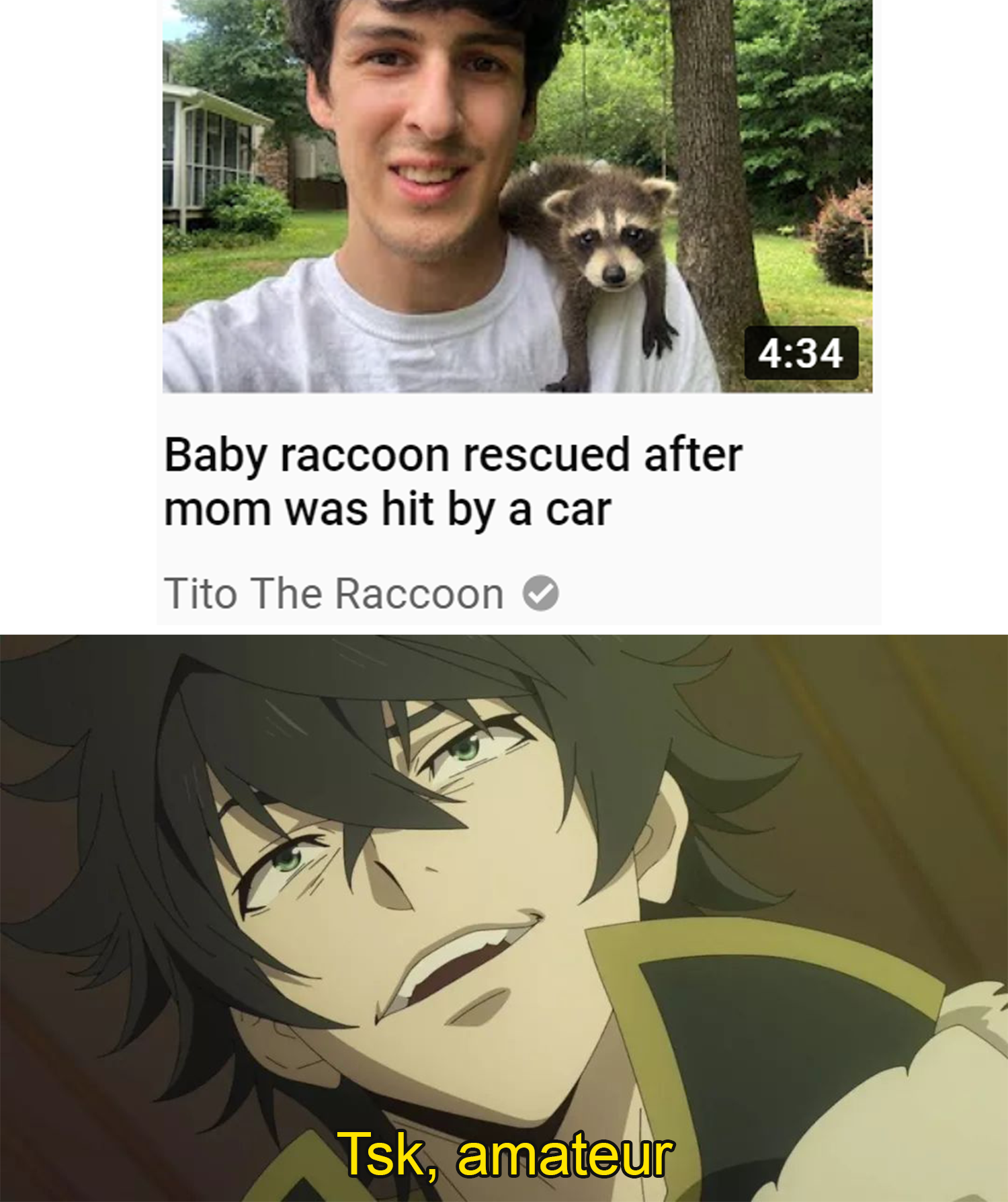 The Rising of the Shield Hero #142