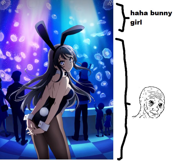 Bunny Girl Senpai #38