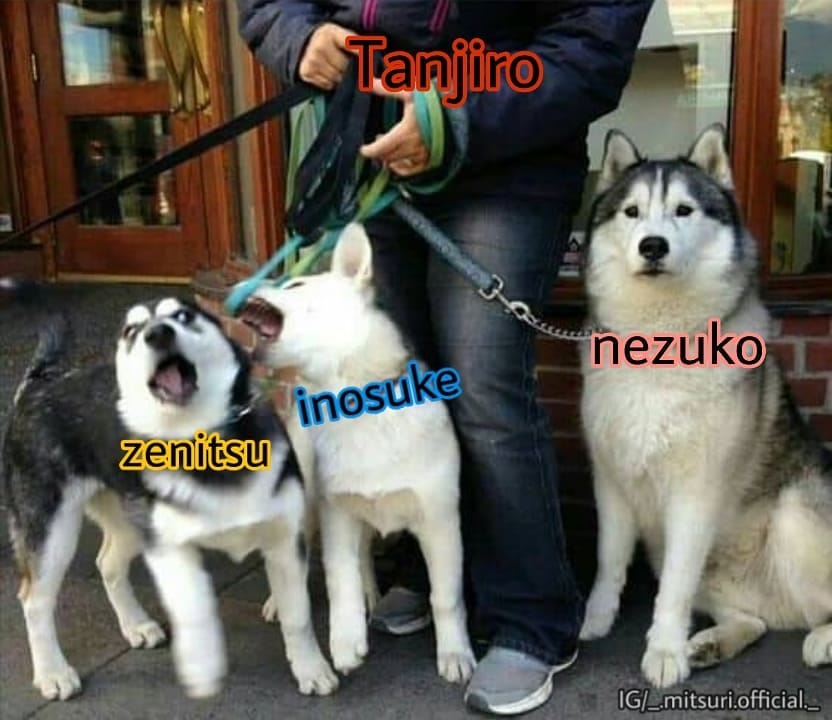 Kimetsu no Yaiba #84