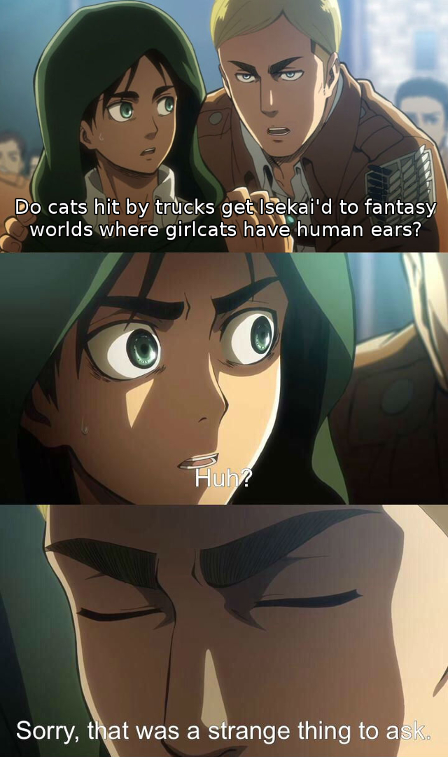 Erwin Meme #18