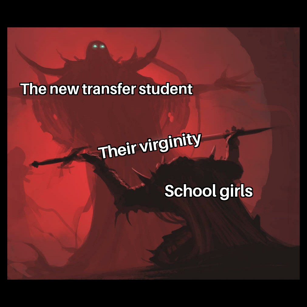 Basically Infinite Stratos