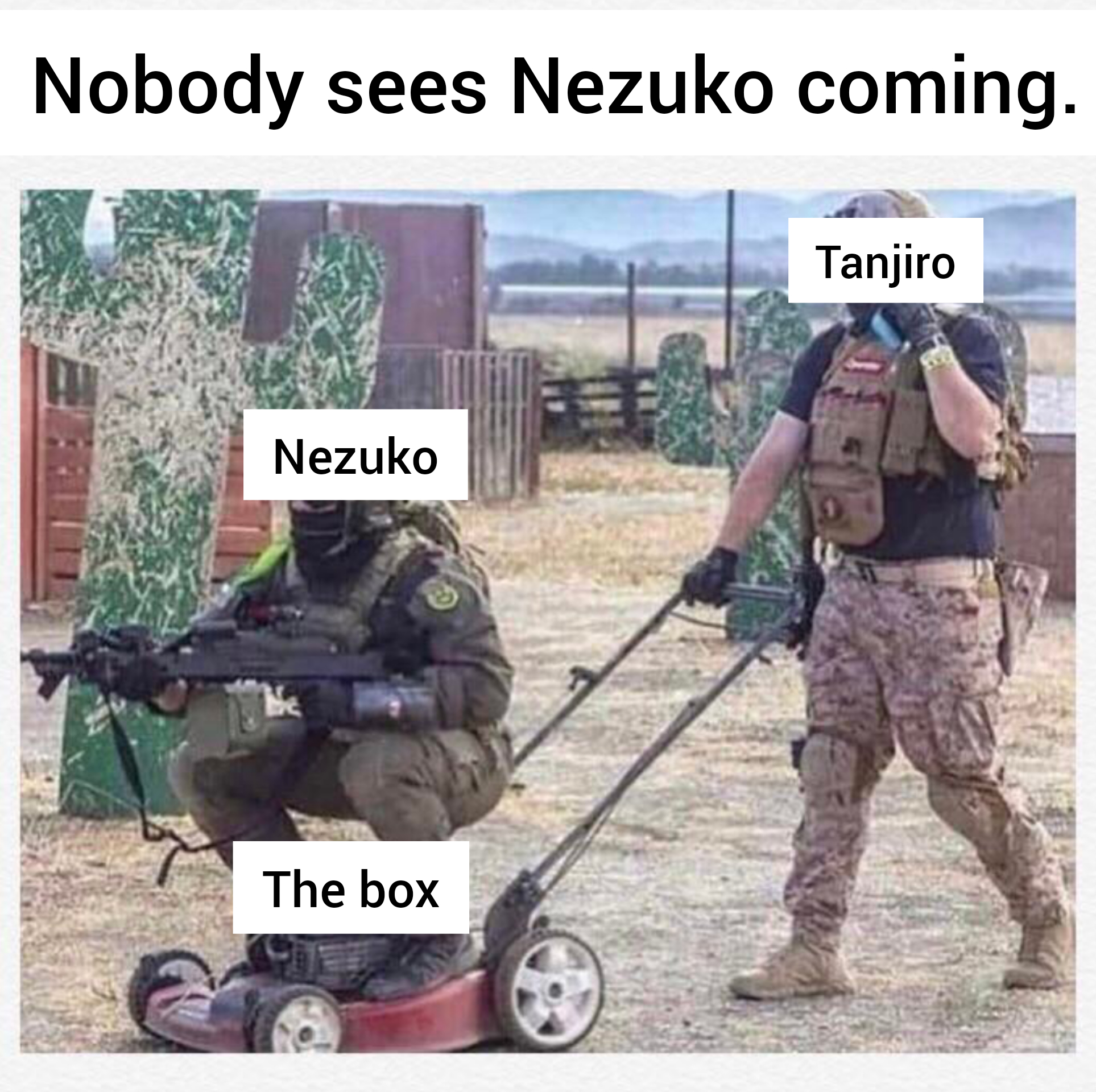 Kimetsu no Yaiba #117