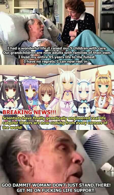 Nekopara