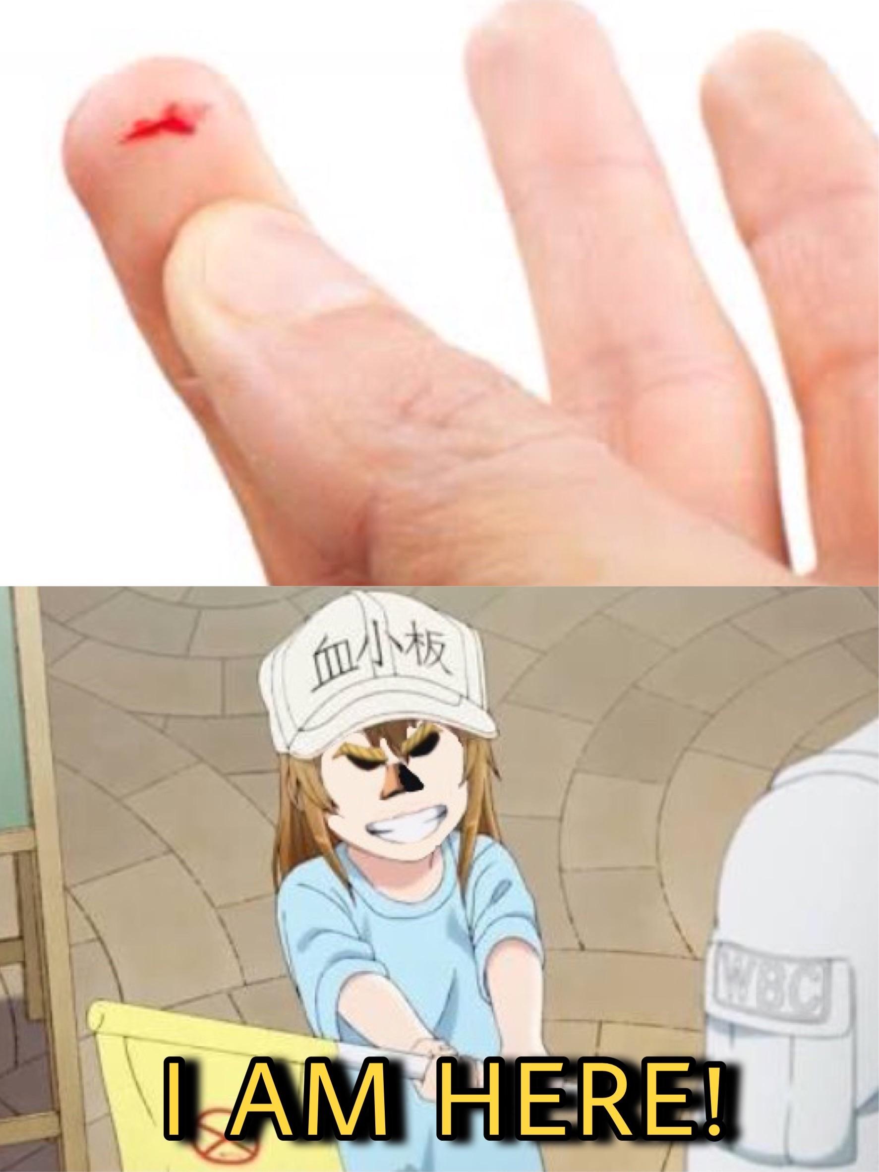 Boku no Hero Academia #48