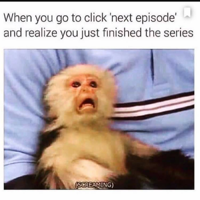 LN & Manga Adaptions