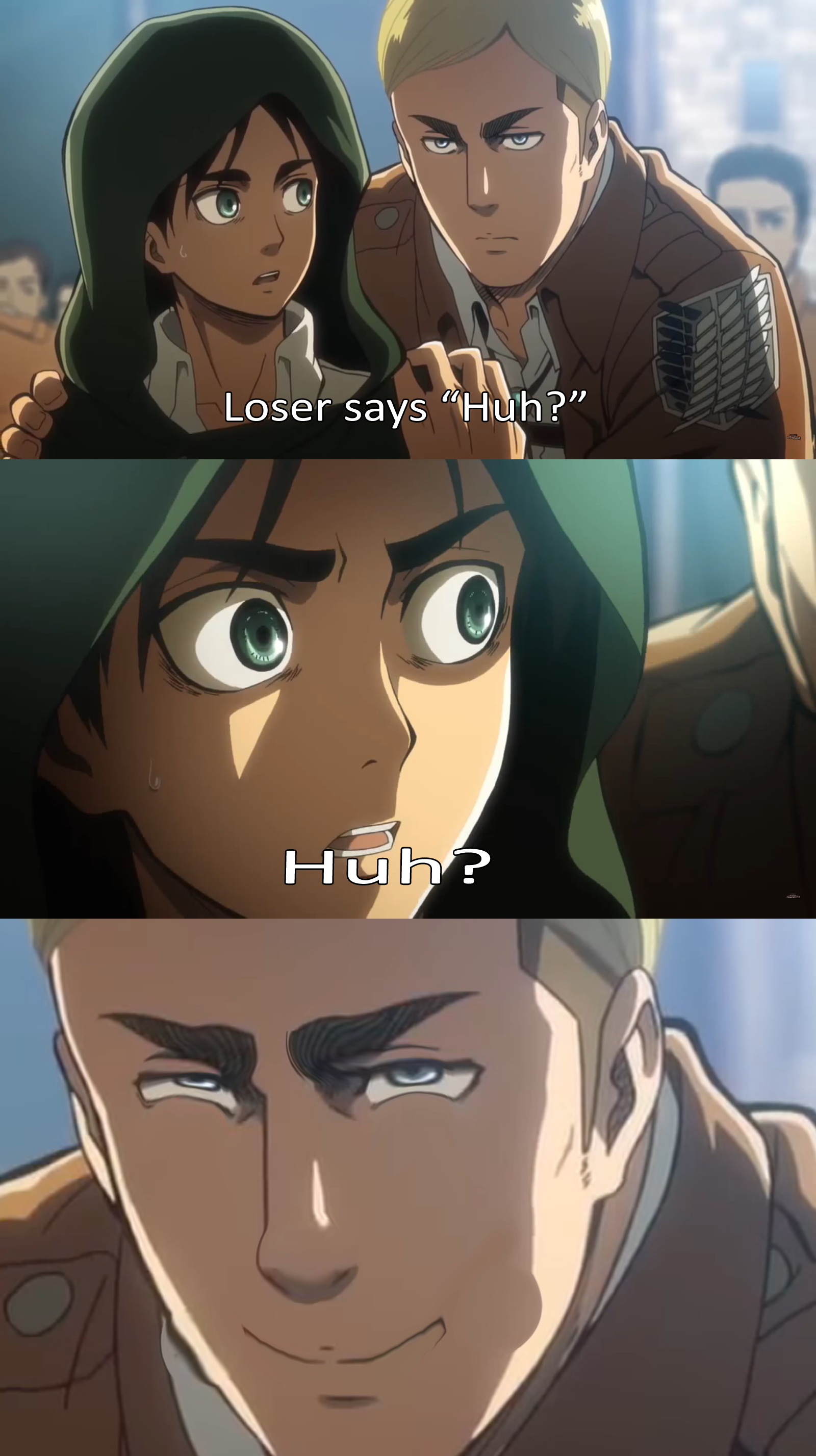 Erwin Meme #6