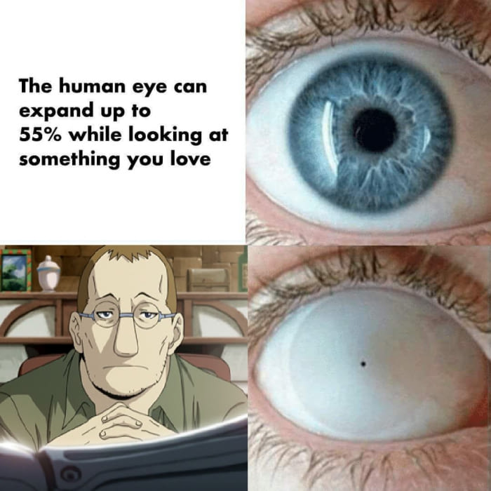 Fullmetal Alchemist #41