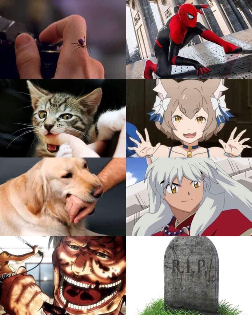 Shingeki no Kyoujin #104