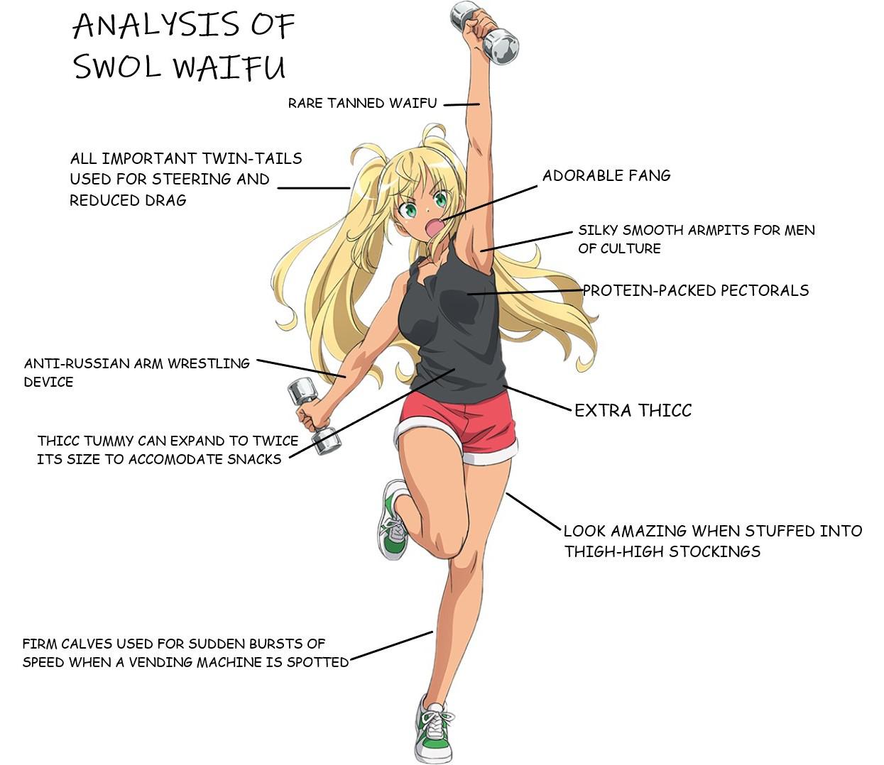 Dumbbell Nan Kilo Moteru #2