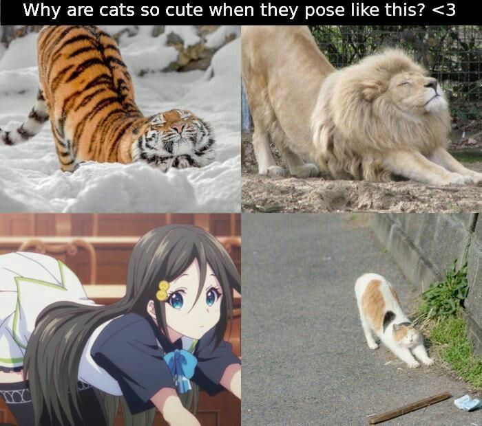 Musaigen no Phantom World #10