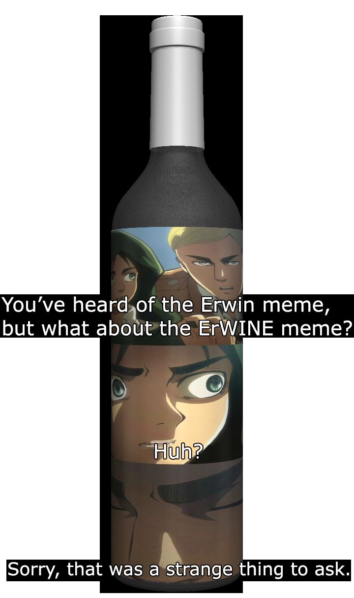 Erwin Meme #33