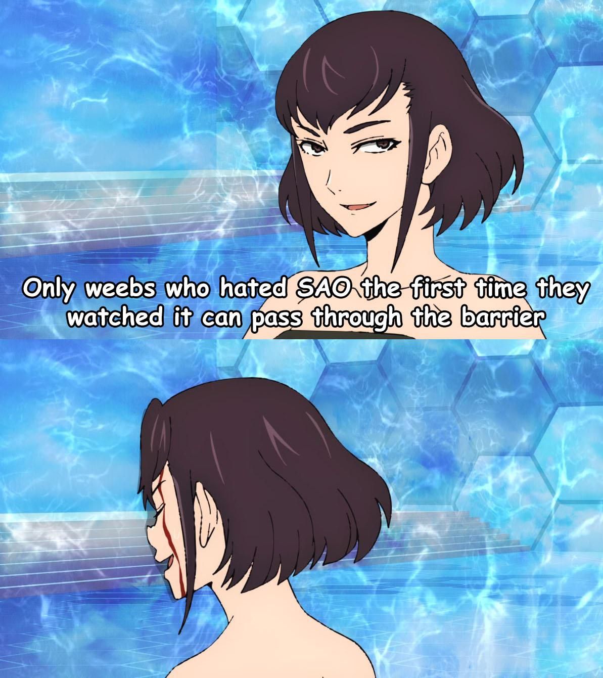 Sword Art Online #68