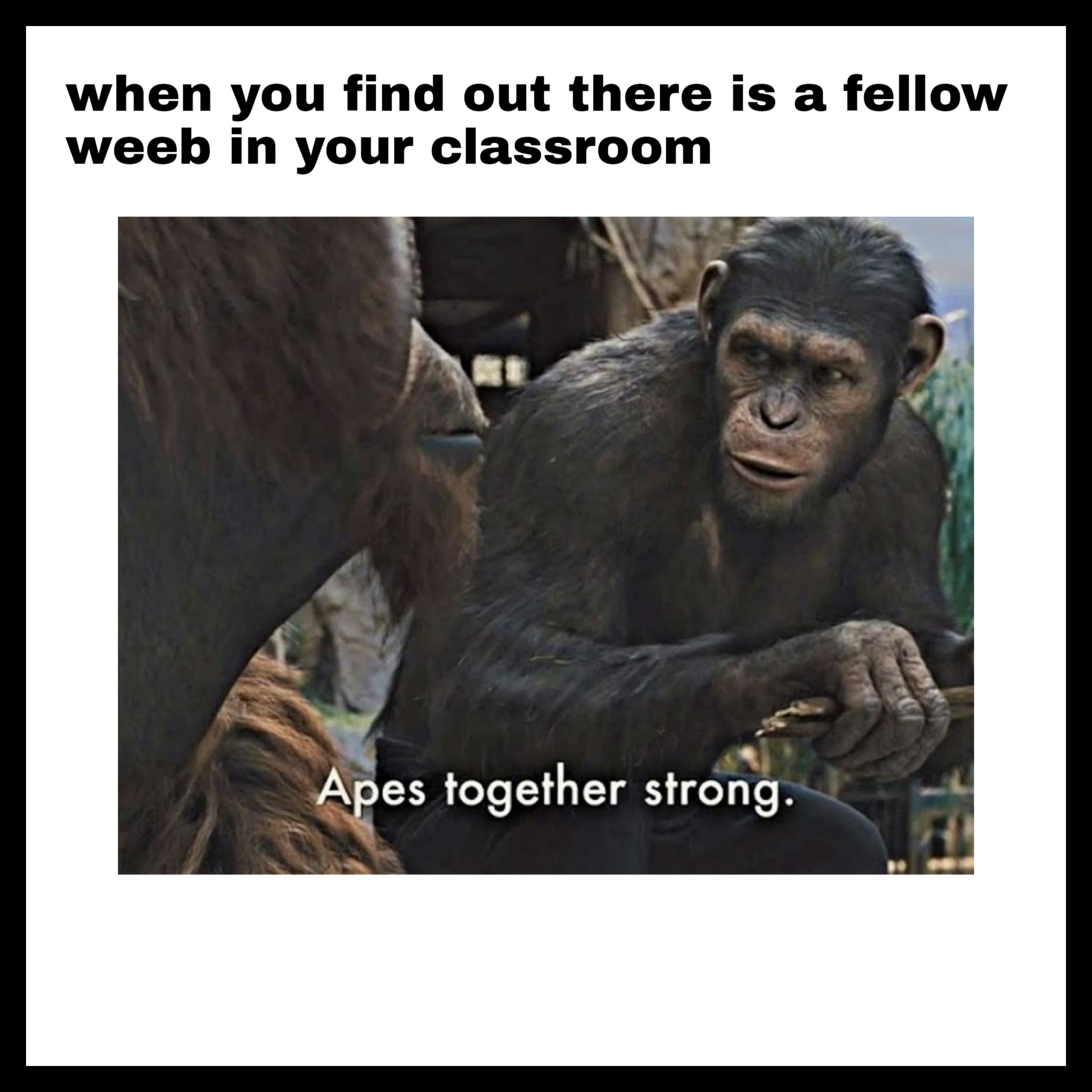 We Shall Stand Together Firm in Our Beliefs