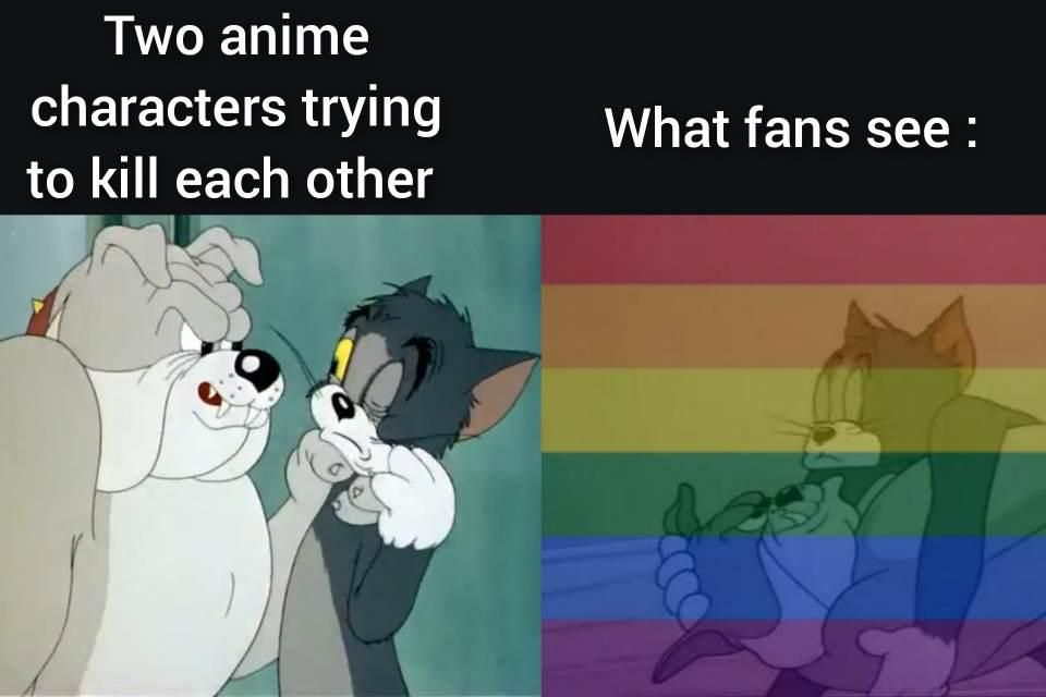Fanshippers Suck