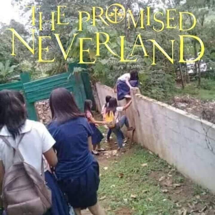 The Promised Neverland #13