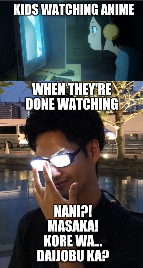 I have Mastered Japanese Language