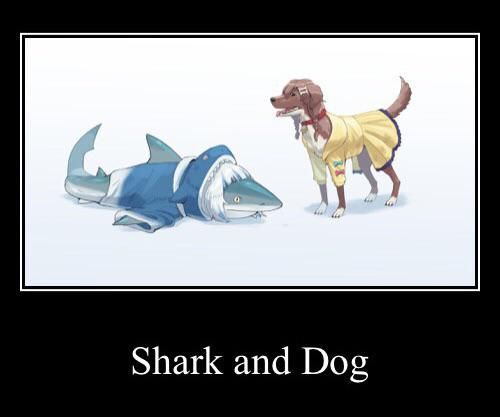 What has Hololive made be Become