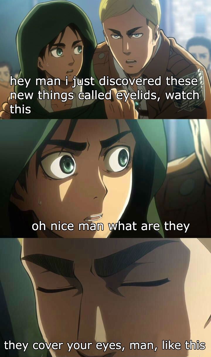 Erwin Meme #25