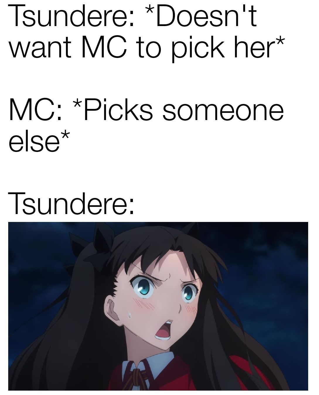 Thats Not How it Works BAKA