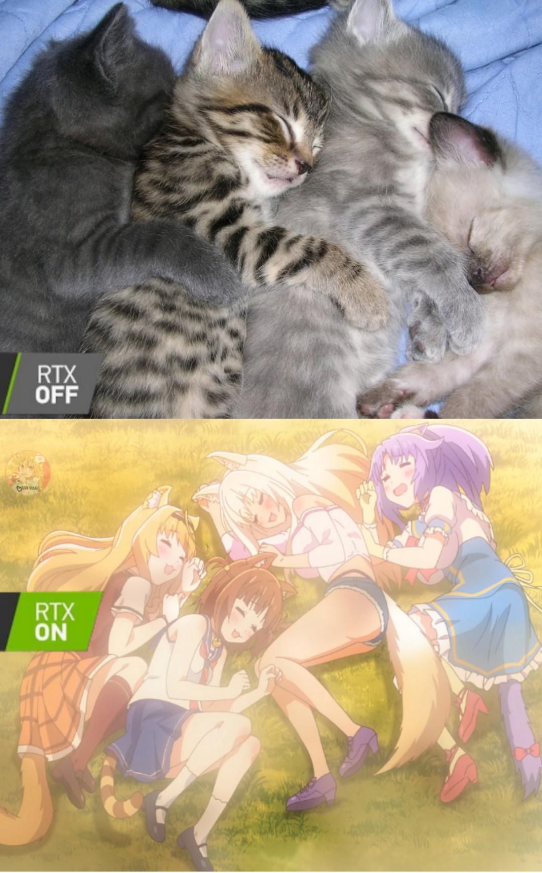 Nekopara #10