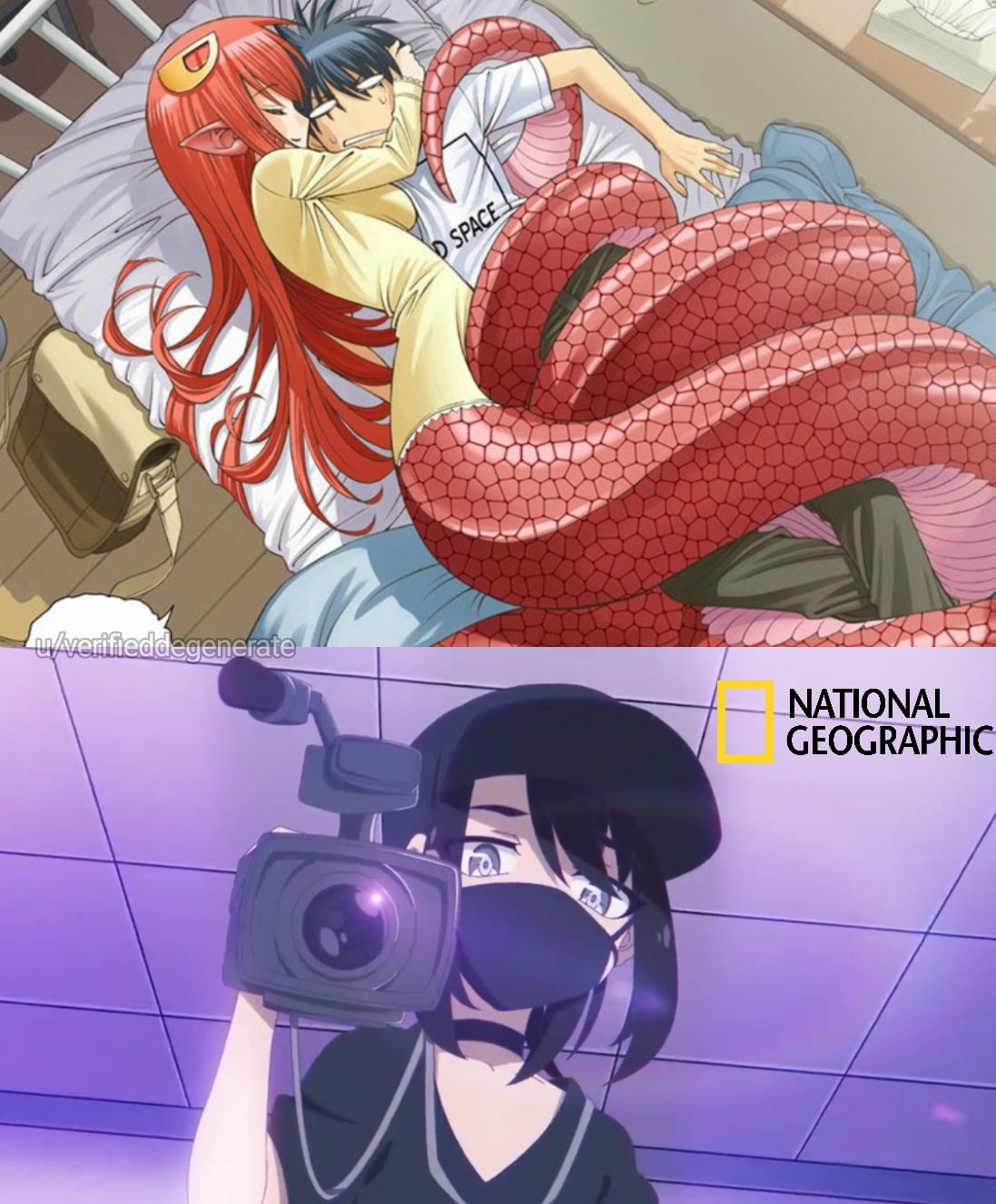 Monster Musume #33