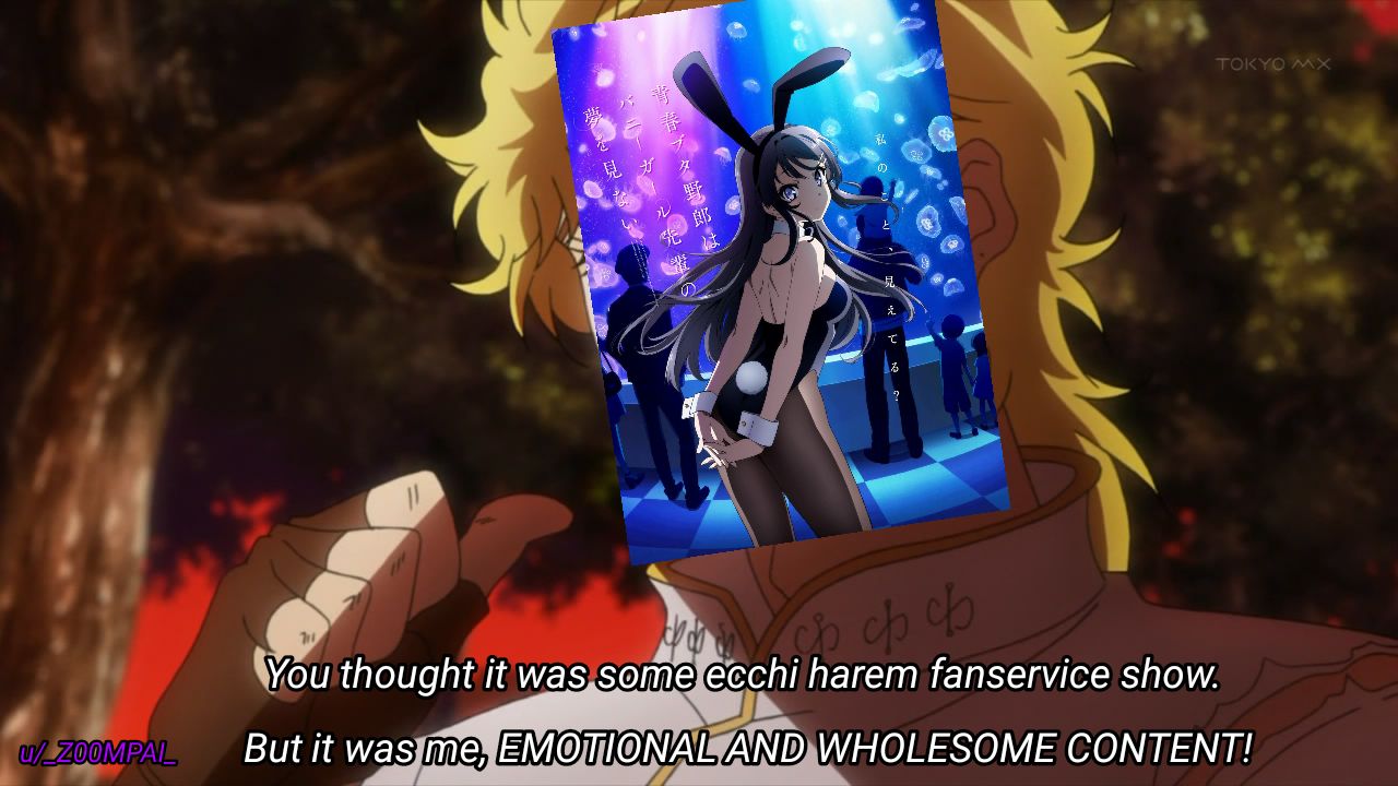 Bunny Girl Senpai #25