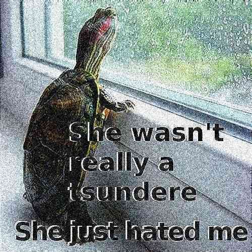 Why Slap me if your Not into Me?