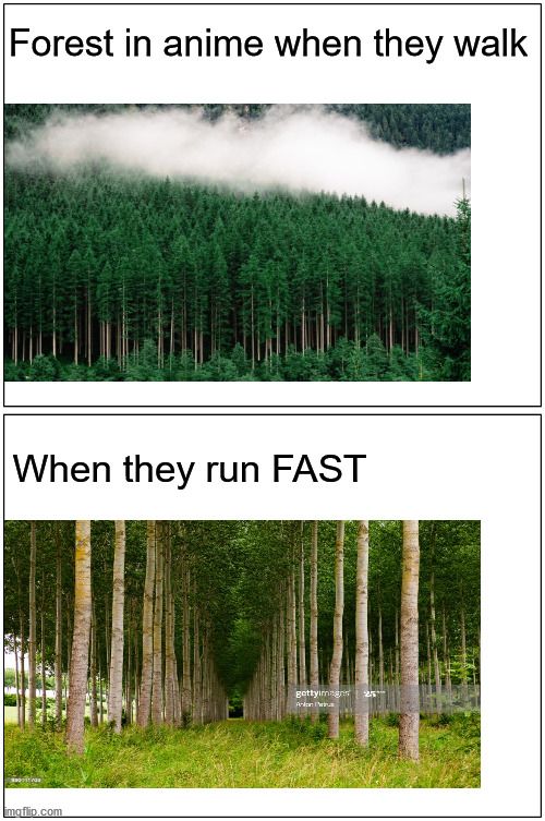 Time to Become a Monkey