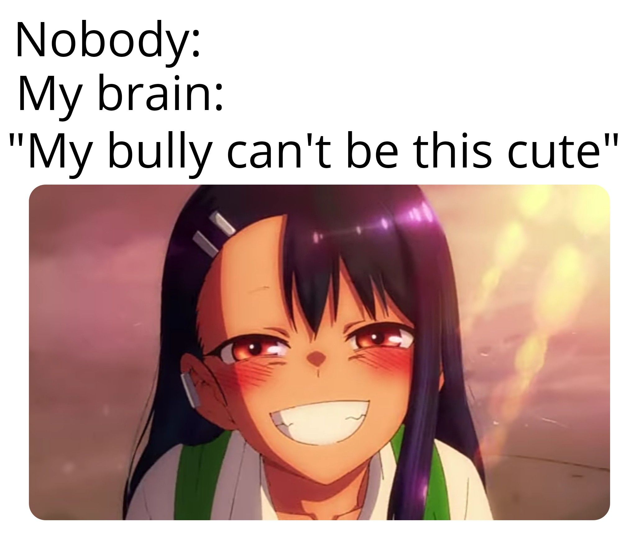 Ijiranaide Nagatoro-san #13