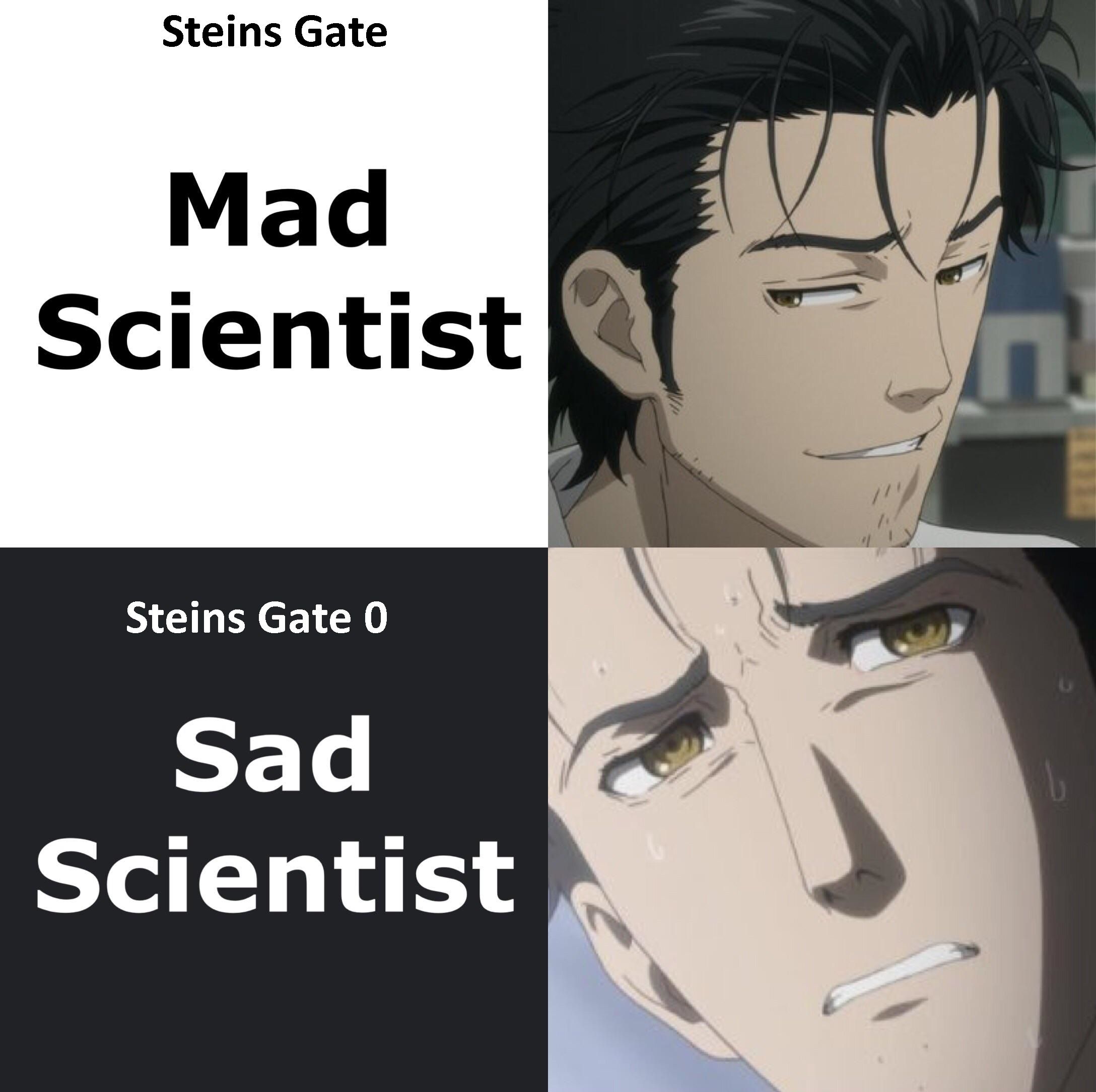 Steins Gate #35