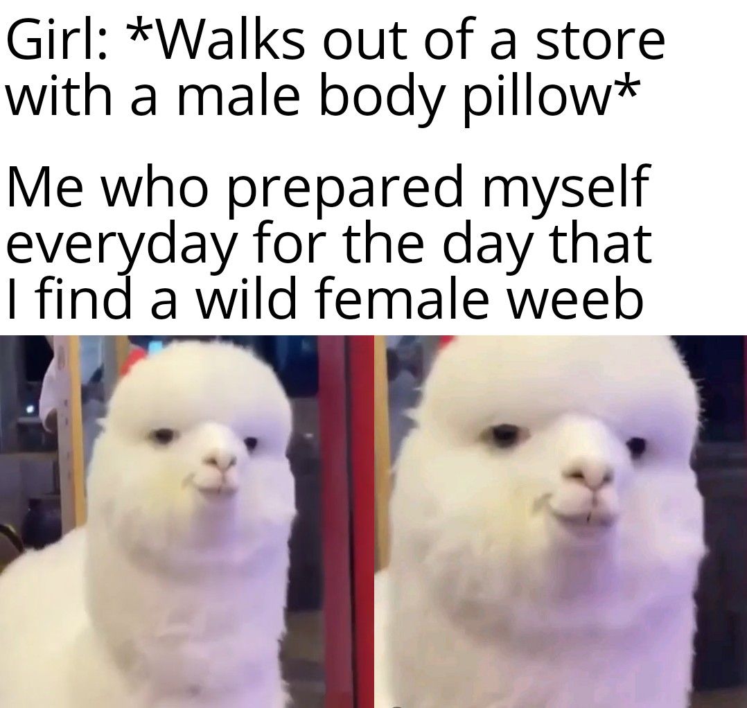 A Rare Pokemon Appears