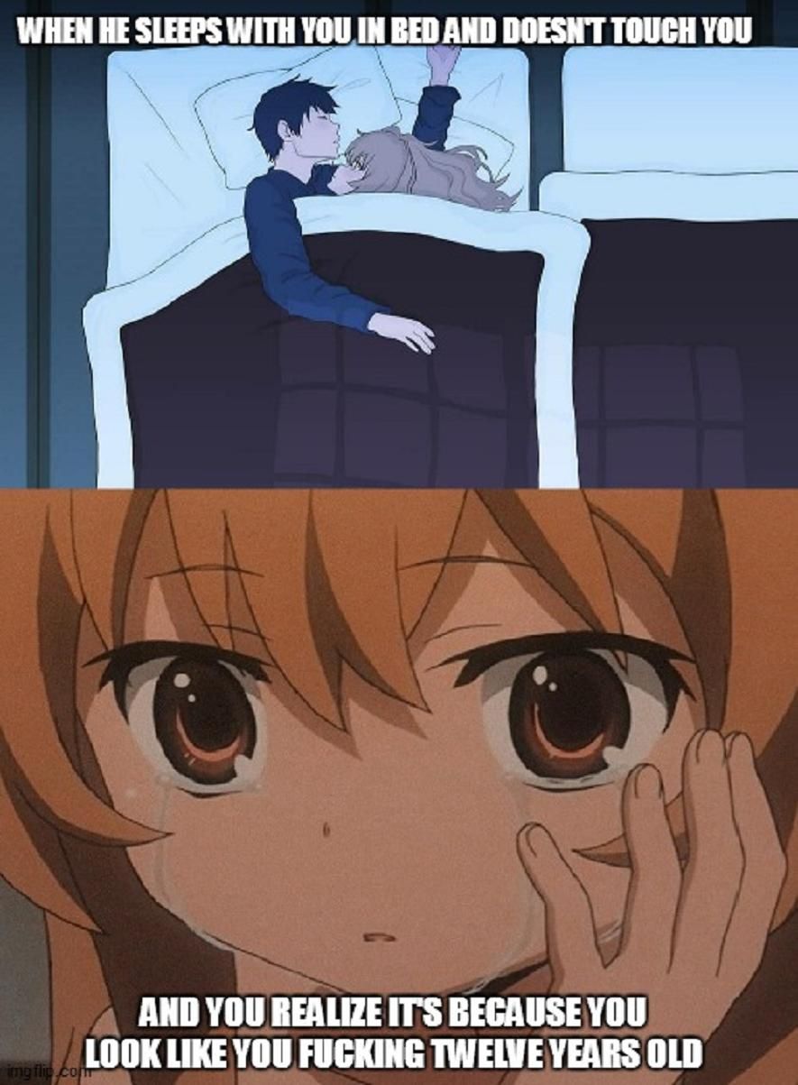 Toradora #15